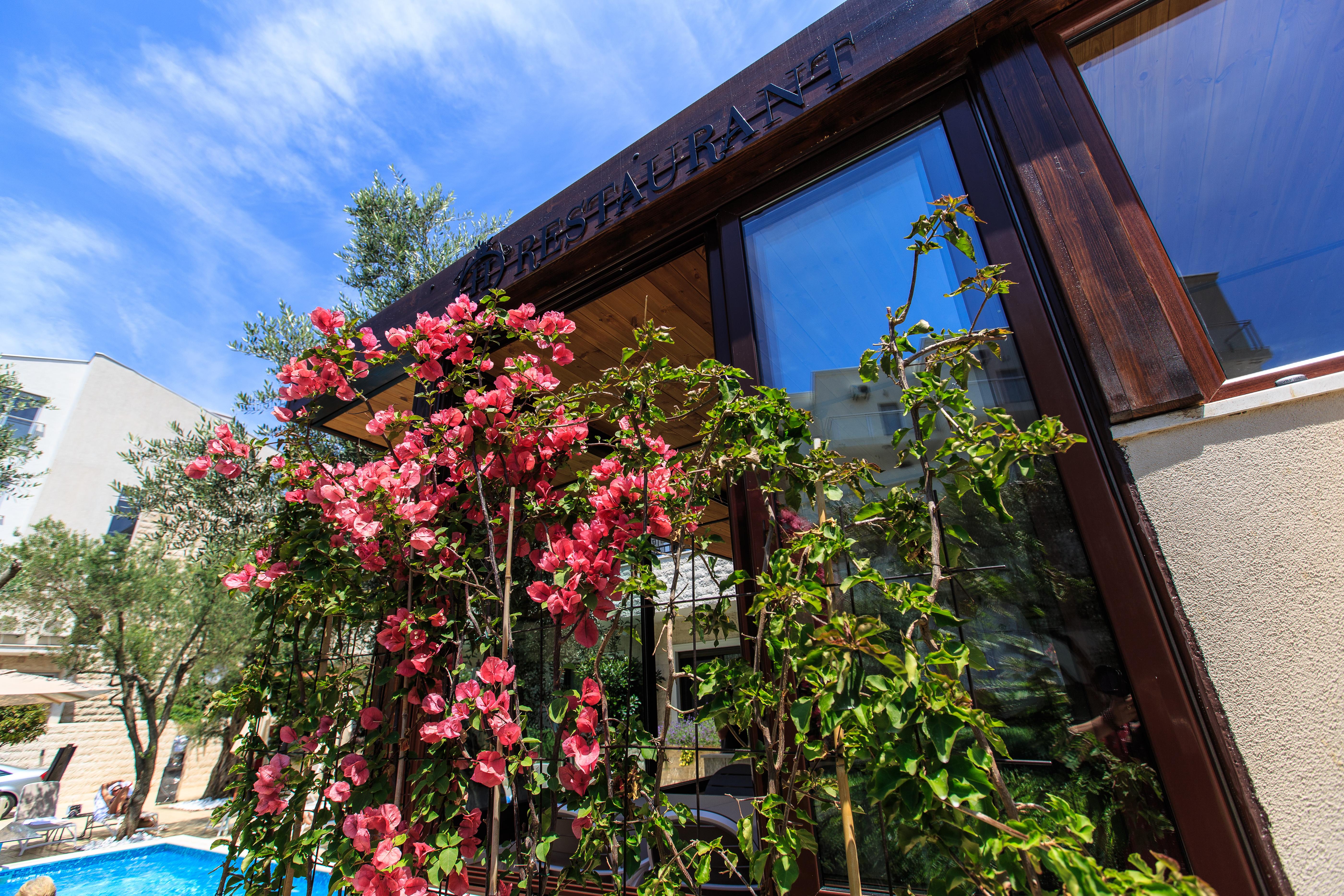 Hotel Harmony Petrovac Buitenkant foto